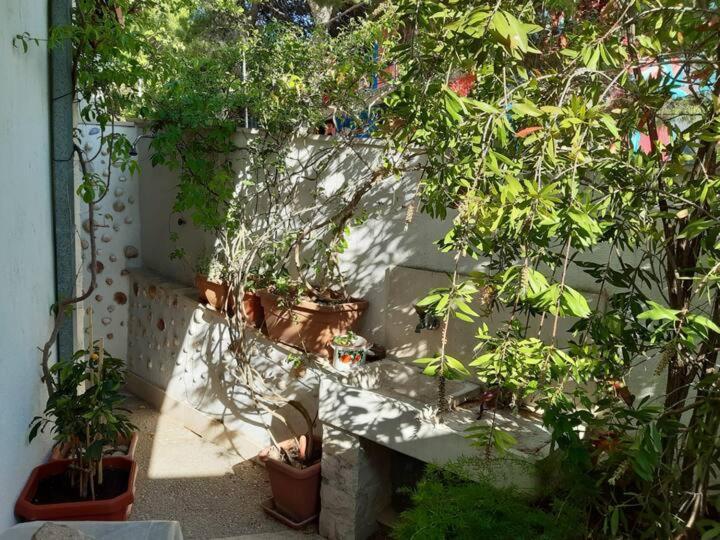 Apartment Biljana Μπολ Εξωτερικό φωτογραφία