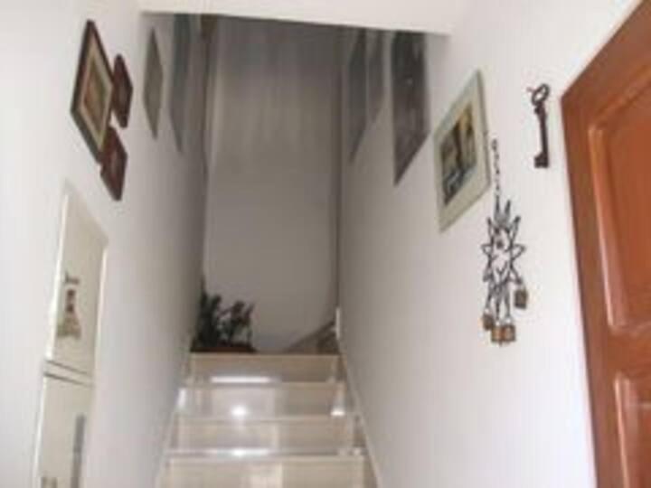 Apartment Biljana Μπολ Εξωτερικό φωτογραφία