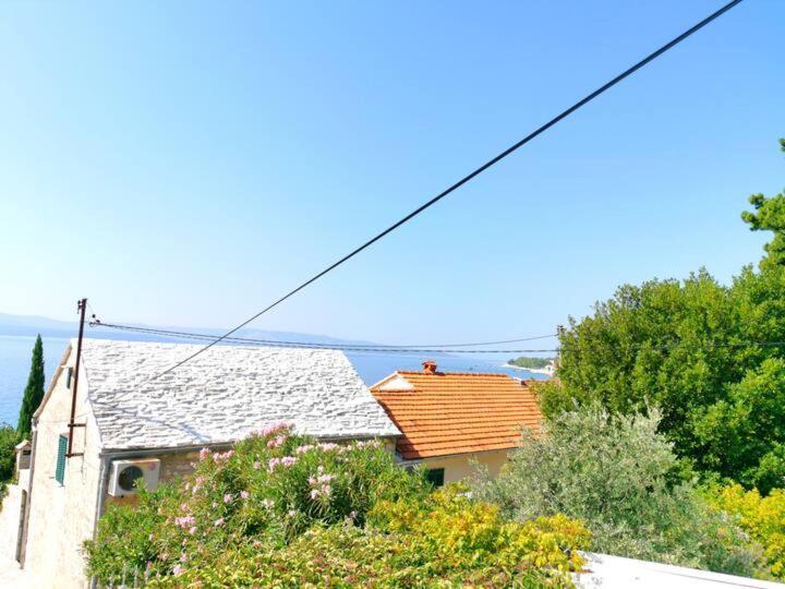 Apartment Biljana Μπολ Εξωτερικό φωτογραφία