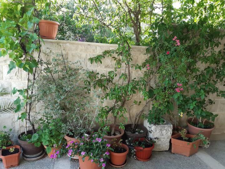 Apartment Biljana Μπολ Εξωτερικό φωτογραφία